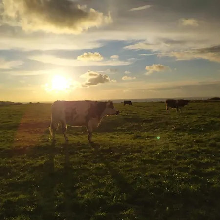 Campingplads Roulotte Avec Vue Sur La Mer, Proche D'etretat *